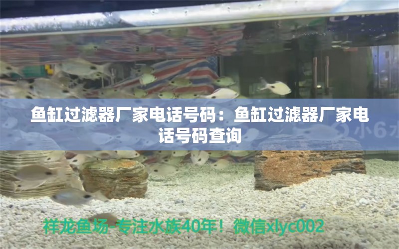 魚缸過濾器廠家電話號碼：魚缸過濾器廠家電話號碼查詢