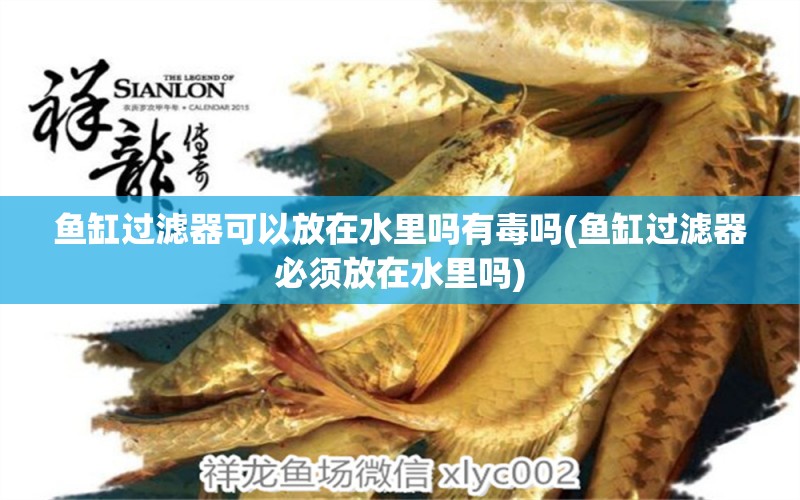 魚缸過濾器可以放在水里嗎有毒嗎(魚缸過濾器必須放在水里嗎) 夢(mèng)幻雷龍魚