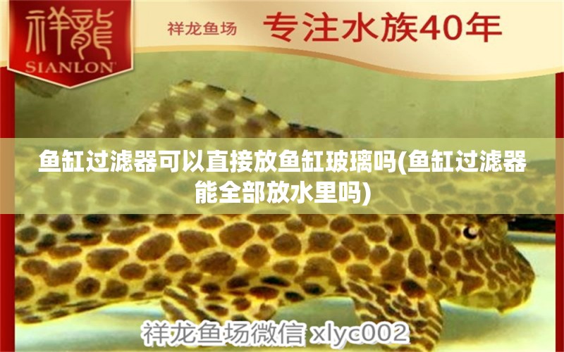 魚缸過濾器可以直接放魚缸玻璃嗎(魚缸過濾器能全部放水里嗎) 麥肯斯銀版魚