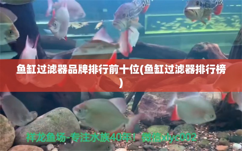 魚缸過(guò)濾器品牌排行前十位(魚缸過(guò)濾器排行榜) 硝化細(xì)菌