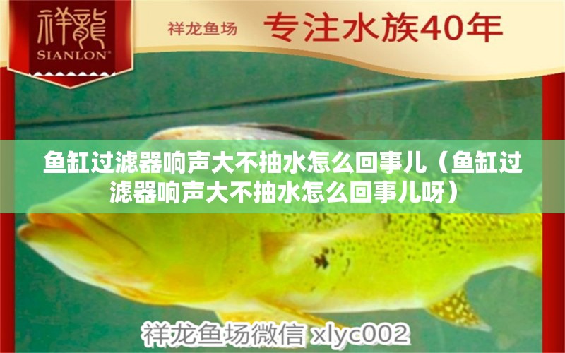 魚缸過濾器響聲大不抽水怎么回事兒（魚缸過濾器響聲大不抽水怎么回事兒呀）