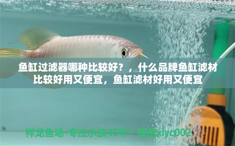 魚缸過濾器哪種比較好？，什么品牌魚缸濾材比較好用又便宜，魚缸濾材好用又便宜 龍魚疾病與治療 第1張