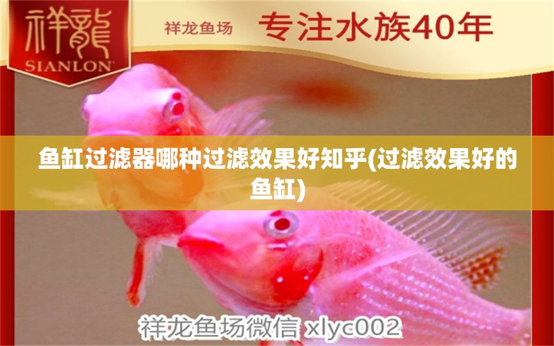 魚(yú)缸過(guò)濾器哪種過(guò)濾效果好知乎(過(guò)濾效果好的魚(yú)缸) 赤荔鳳冠魚(yú) 第1張