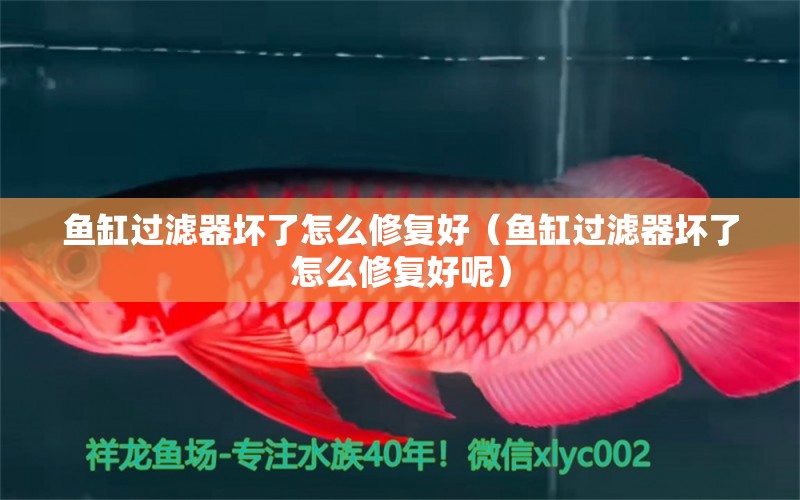 魚缸過濾器壞了怎么修復(fù)好（魚缸過濾器壞了怎么修復(fù)好呢） 其他品牌魚缸