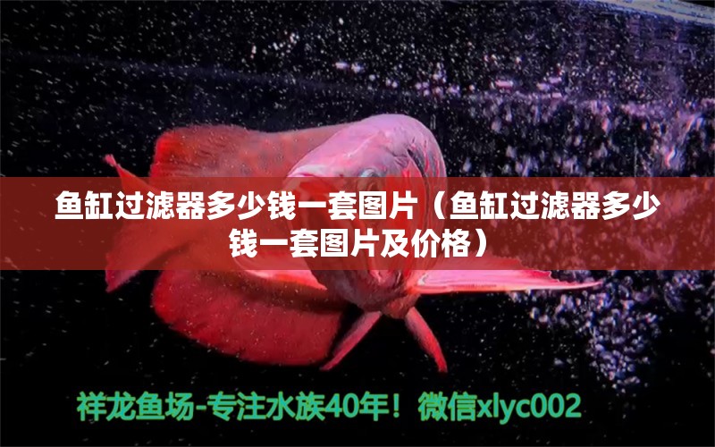 魚缸過濾器多少錢一套圖片（魚缸過濾器多少錢一套圖片及價格）