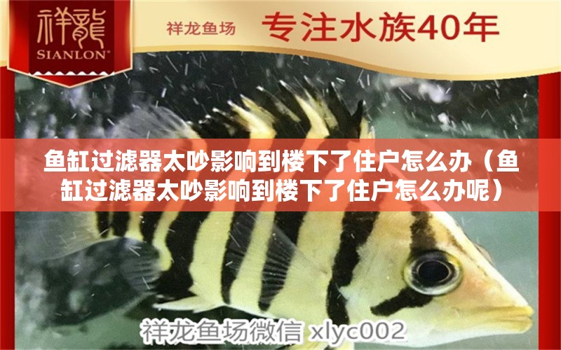 魚缸過濾器太吵影響到樓下了住戶怎么辦（魚缸過濾器太吵影響到樓下了住戶怎么辦呢） 觀賞魚市場（混養(yǎng)魚）