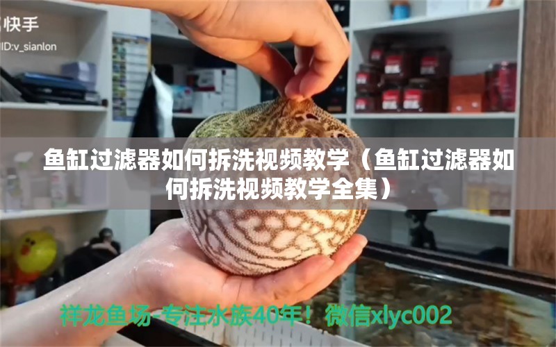 魚缸過濾器如何拆洗視頻教學(xué)（魚缸過濾器如何拆洗視頻教學(xué)全集）