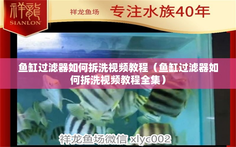 魚缸過濾器如何拆洗視頻教程（魚缸過濾器如何拆洗視頻教程全集）