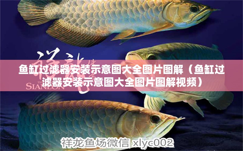 魚缸過濾器安裝示意圖大全圖片圖解（魚缸過濾器安裝示意圖大全圖片圖解視頻）