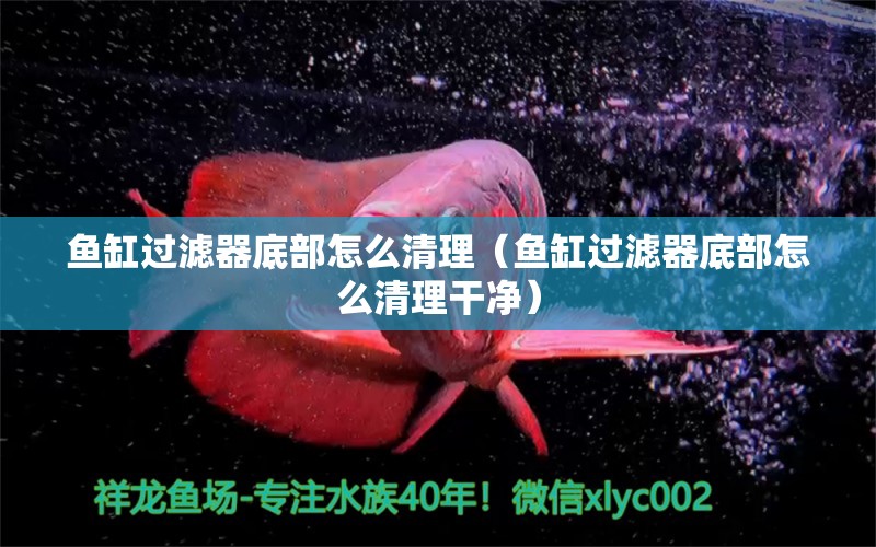 魚缸過濾器底部怎么清理（魚缸過濾器底部怎么清理干凈） 其他品牌魚缸