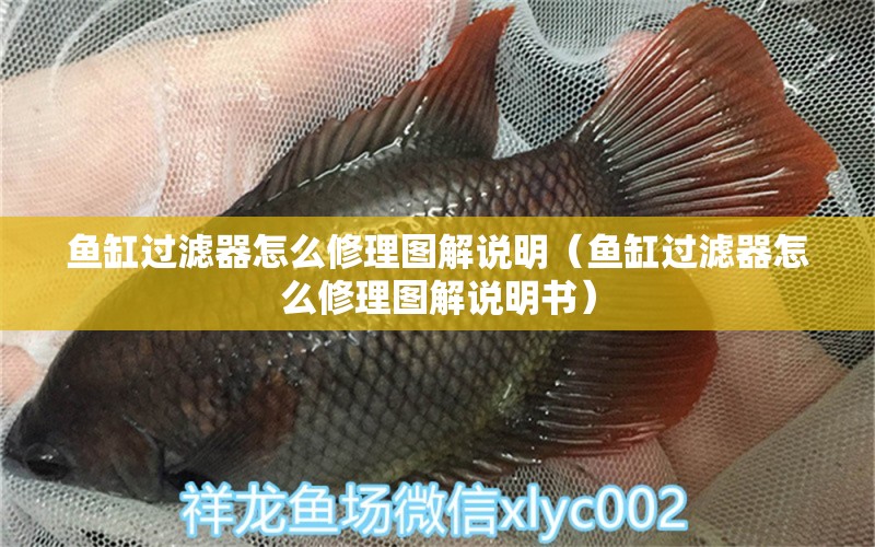 魚缸過濾器怎么修理圖解說明（魚缸過濾器怎么修理圖解說明書）