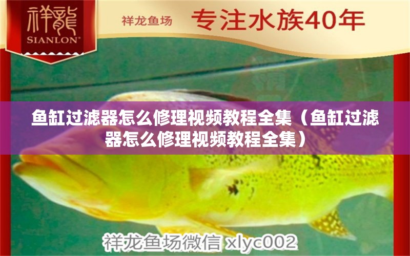 魚(yú)缸過(guò)濾器怎么修理視頻教程全集（魚(yú)缸過(guò)濾器怎么修理視頻教程全集） 其他品牌魚(yú)缸