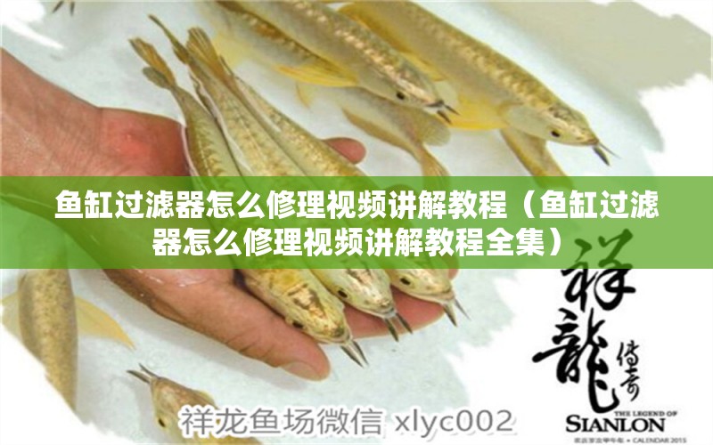 魚缸過(guò)濾器怎么修理視頻講解教程（魚缸過(guò)濾器怎么修理視頻講解教程全集）