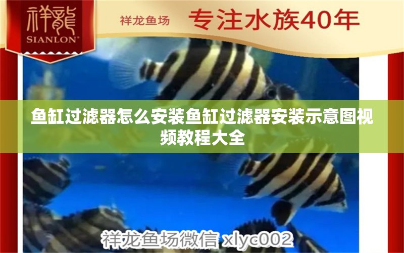 魚缸過濾器怎么安裝魚缸過濾器安裝示意圖視頻教程大全 養(yǎng)魚知識