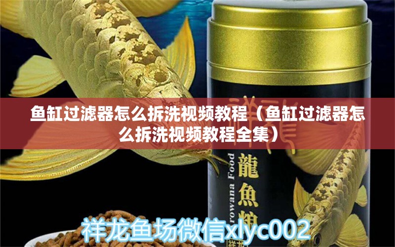 魚缸過濾器怎么拆洗視頻教程（魚缸過濾器怎么拆洗視頻教程全集）