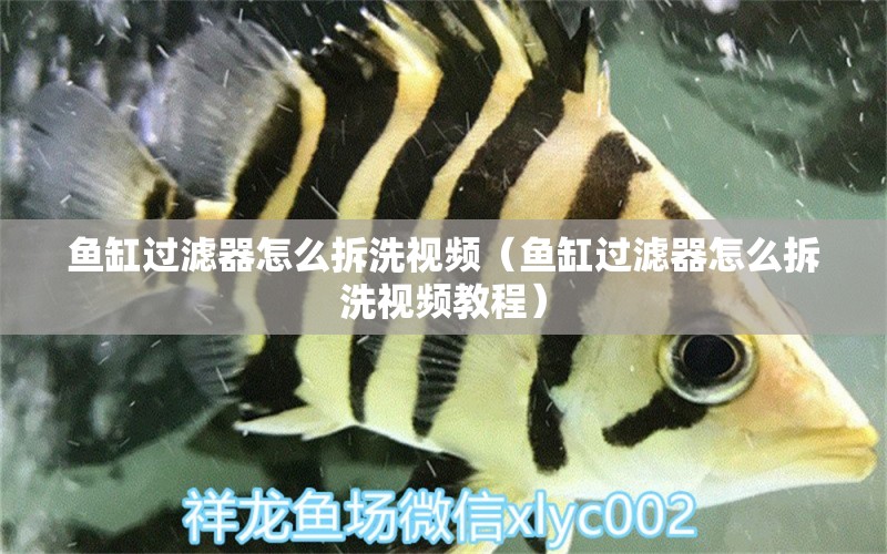 魚缸過濾器怎么拆洗視頻（魚缸過濾器怎么拆洗視頻教程）