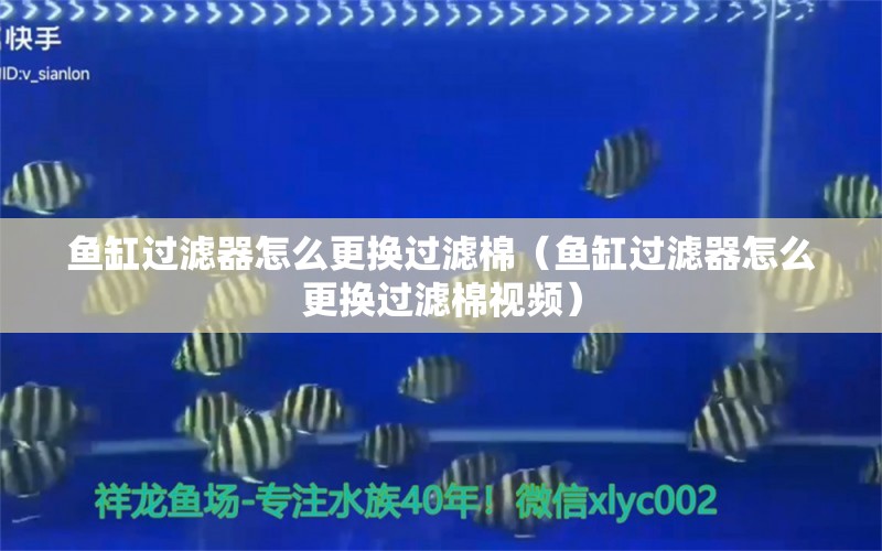 魚缸過濾器怎么更換過濾棉（魚缸過濾器怎么更換過濾棉視頻）