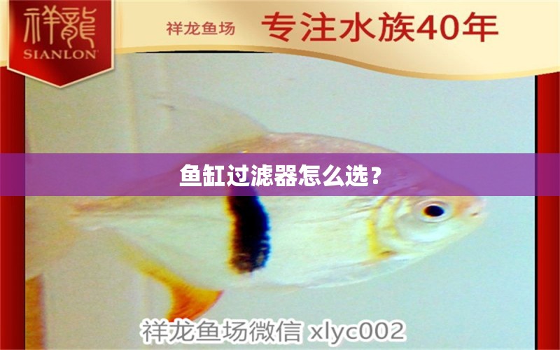 魚缸過濾器怎么選？