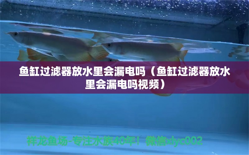 魚缸過濾器放水里會(huì)漏電嗎（魚缸過濾器放水里會(huì)漏電嗎視頻）