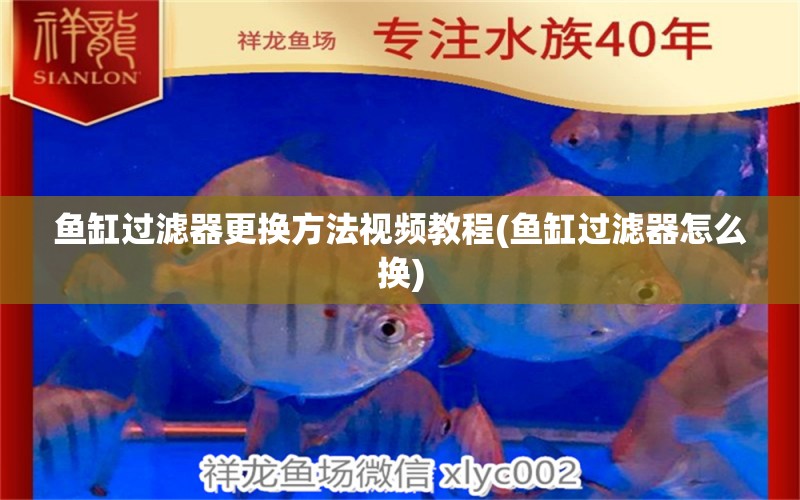 魚缸過(guò)濾器更換方法視頻教程(魚缸過(guò)濾器怎么換) 白玉紅龍魚 第1張