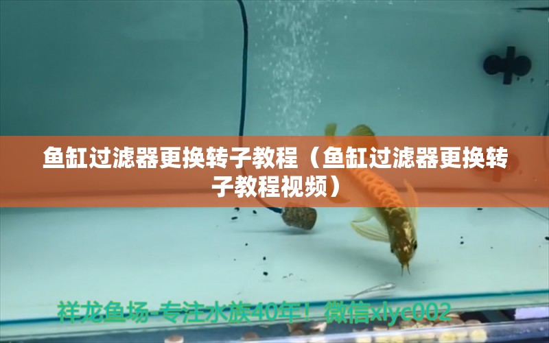 魚缸過濾器更換轉(zhuǎn)子教程（魚缸過濾器更換轉(zhuǎn)子教程視頻）