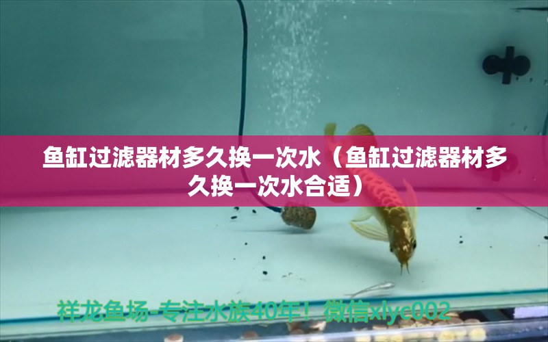 魚缸過(guò)濾器材多久換一次水（魚缸過(guò)濾器材多久換一次水合適）