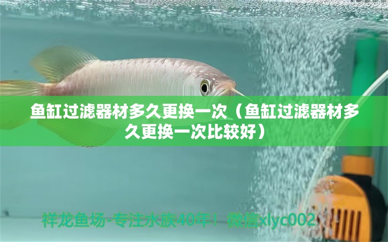 魚缸過(guò)濾器材多久更換一次（魚缸過(guò)濾器材多久更換一次比較好） 祥龍水族醫(yī)院