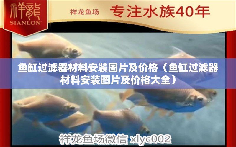 魚缸過濾器材料安裝圖片及價格（魚缸過濾器材料安裝圖片及價格大全） 泰龐海蓮魚