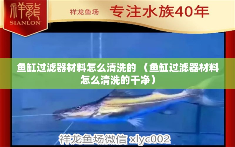 魚(yú)缸過(guò)濾器材料怎么清洗的 （魚(yú)缸過(guò)濾器材料怎么清洗的干凈） 觀賞魚(yú)市場(chǎng)（混養(yǎng)魚(yú)） 第1張