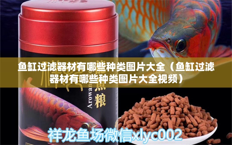 魚(yú)缸過(guò)濾器材有哪些種類(lèi)圖片大全（魚(yú)缸過(guò)濾器材有哪些種類(lèi)圖片大全視頻）