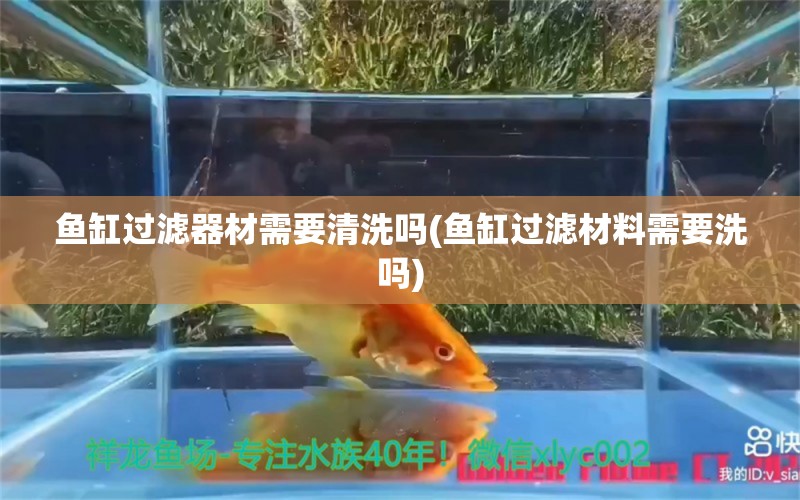 魚缸過濾器材需要清洗嗎(魚缸過濾材料需要洗嗎) 黃金招財貓魚 第1張