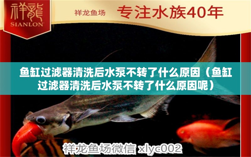 魚(yú)缸過(guò)濾器清洗后水泵不轉(zhuǎn)了什么原因（魚(yú)缸過(guò)濾器清洗后水泵不轉(zhuǎn)了什么原因呢）