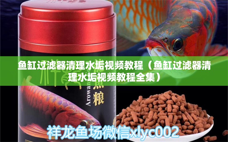 魚缸過(guò)濾器清理水垢視頻教程（魚缸過(guò)濾器清理水垢視頻教程全集） 其他品牌魚缸