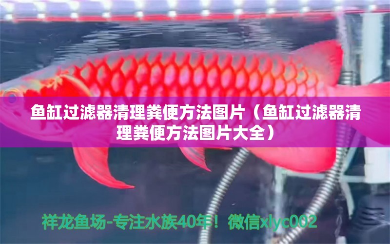 魚(yú)缸過(guò)濾器清理糞便方法圖片（魚(yú)缸過(guò)濾器清理糞便方法圖片大全） 其他品牌魚(yú)缸