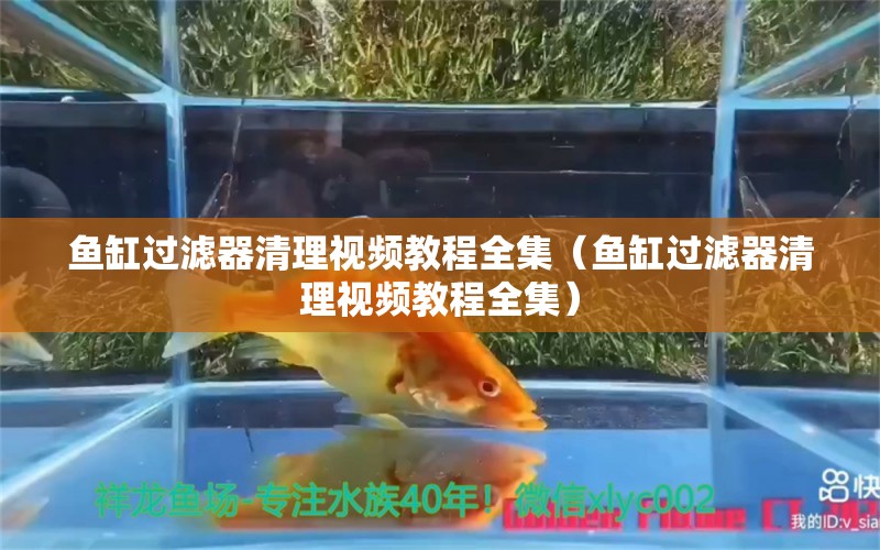 魚缸過濾器清理視頻教程全集（魚缸過濾器清理視頻教程全集） 其他品牌魚缸