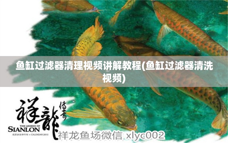 魚缸過濾器清理視頻講解教程(魚缸過濾器清洗視頻) 斑馬鴨嘴魚