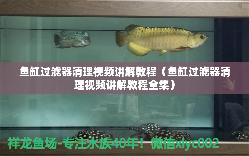 魚缸過(guò)濾器清理視頻講解教程（魚缸過(guò)濾器清理視頻講解教程全集）