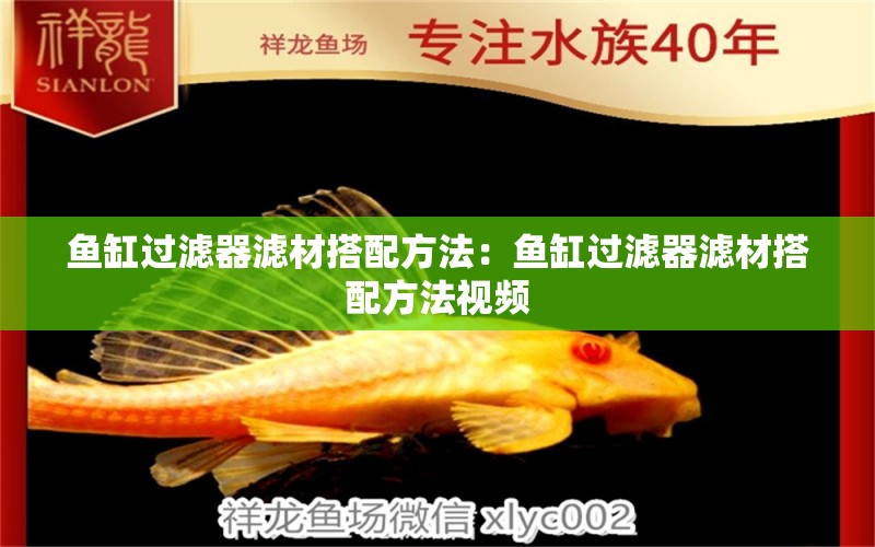 魚缸過濾器濾材搭配方法：魚缸過濾器濾材搭配方法視頻