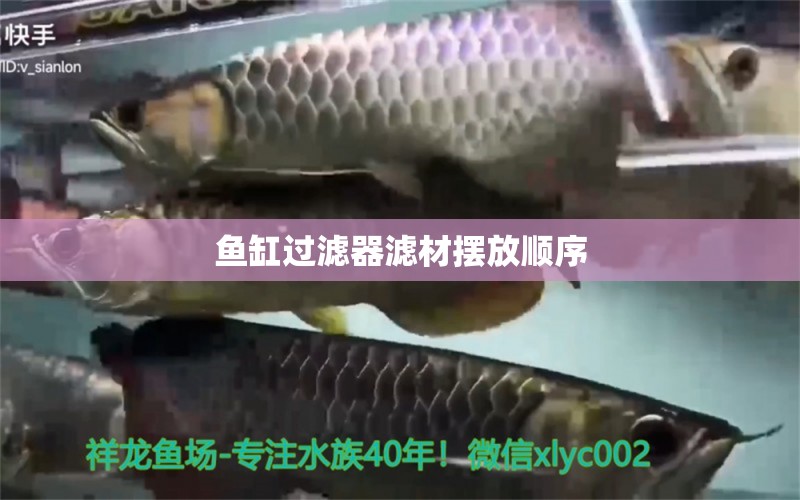 魚缸過濾器濾材擺放順序 祥龍魚場(chǎng)