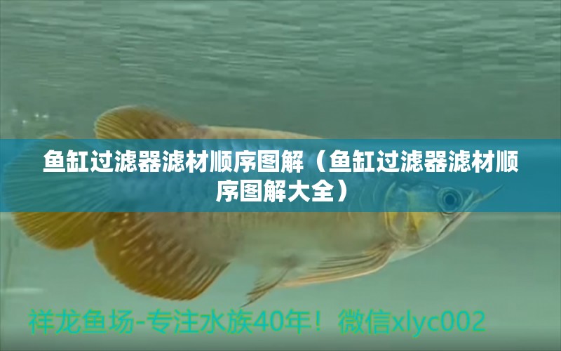 魚缸過濾器濾材順序圖解（魚缸過濾器濾材順序圖解大全）