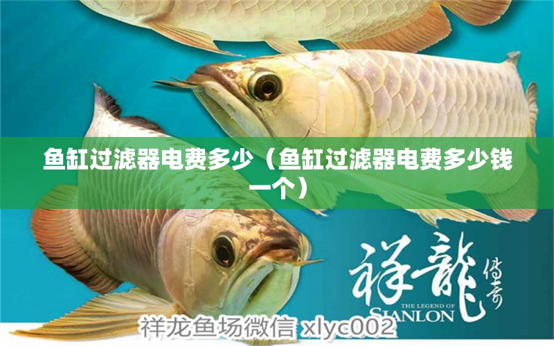 魚缸過濾器電費(fèi)多少（魚缸過濾器電費(fèi)多少錢一個(gè)） 其他品牌魚缸