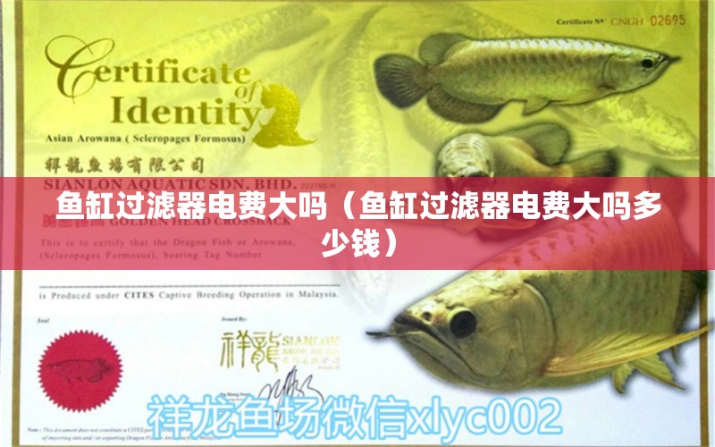 魚(yú)缸過(guò)濾器電費(fèi)大嗎（魚(yú)缸過(guò)濾器電費(fèi)大嗎多少錢(qián)）