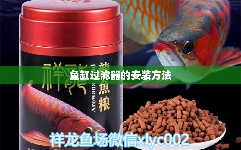 魚缸過濾器的安裝方法 白子銀版魚苗