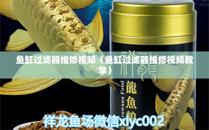 魚(yú)缸過(guò)濾器維修視頻（魚(yú)缸過(guò)濾器維修視頻教學(xué)）