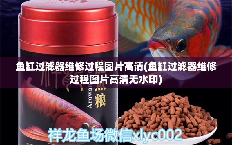 魚(yú)缸過(guò)濾器維修過(guò)程圖片高清(魚(yú)缸過(guò)濾器維修過(guò)程圖片高清無(wú)水印) 巴卡雷龍魚(yú) 第1張