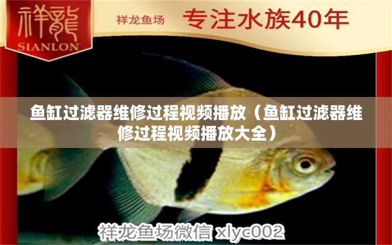 魚缸過濾器維修過程視頻播放（魚缸過濾器維修過程視頻播放大全）