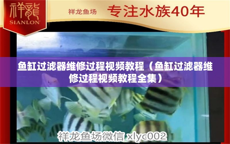 魚缸過濾器維修過程視頻教程（魚缸過濾器維修過程視頻教程全集）