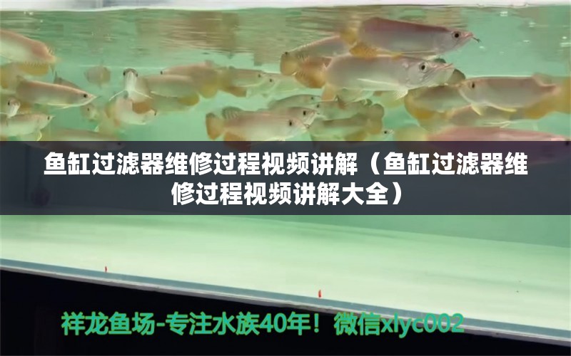 魚缸過(guò)濾器維修過(guò)程視頻講解（魚缸過(guò)濾器維修過(guò)程視頻講解大全）