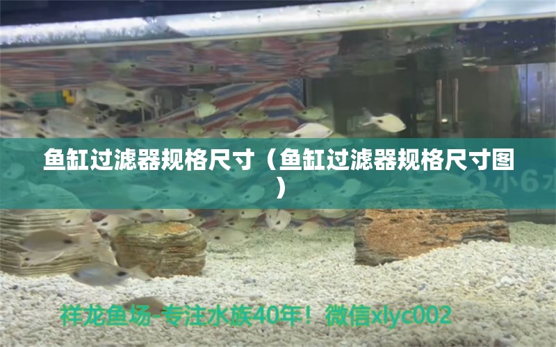 魚缸過濾器規(guī)格尺寸（魚缸過濾器規(guī)格尺寸圖） 祥龍傳奇品牌魚缸