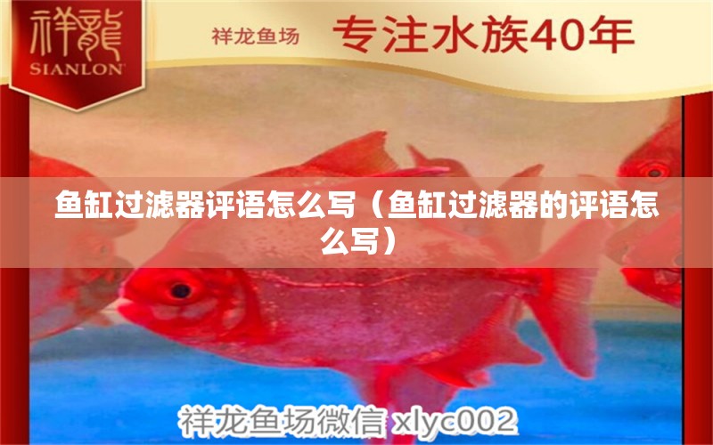 魚(yú)缸過(guò)濾器評(píng)語(yǔ)怎么寫（魚(yú)缸過(guò)濾器的評(píng)語(yǔ)怎么寫）